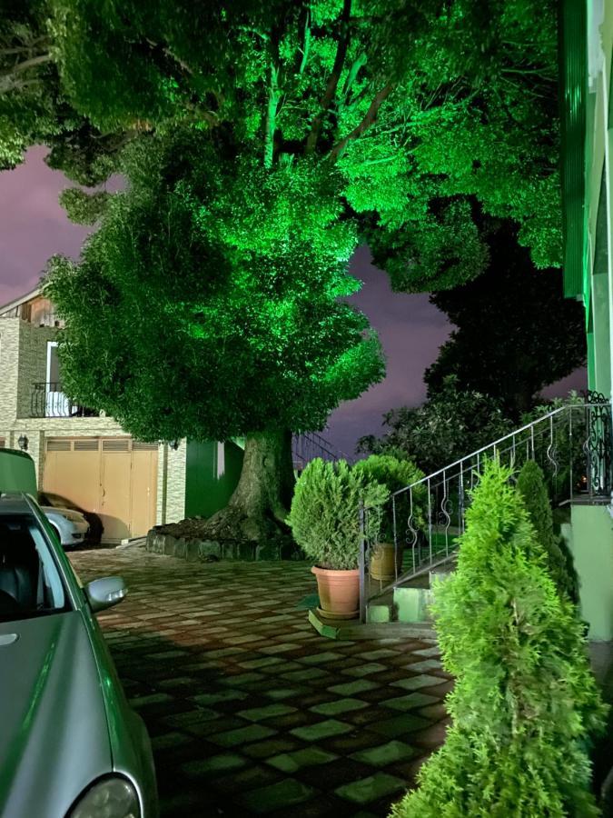 Apartment Green House Makhinjauri Exterior photo