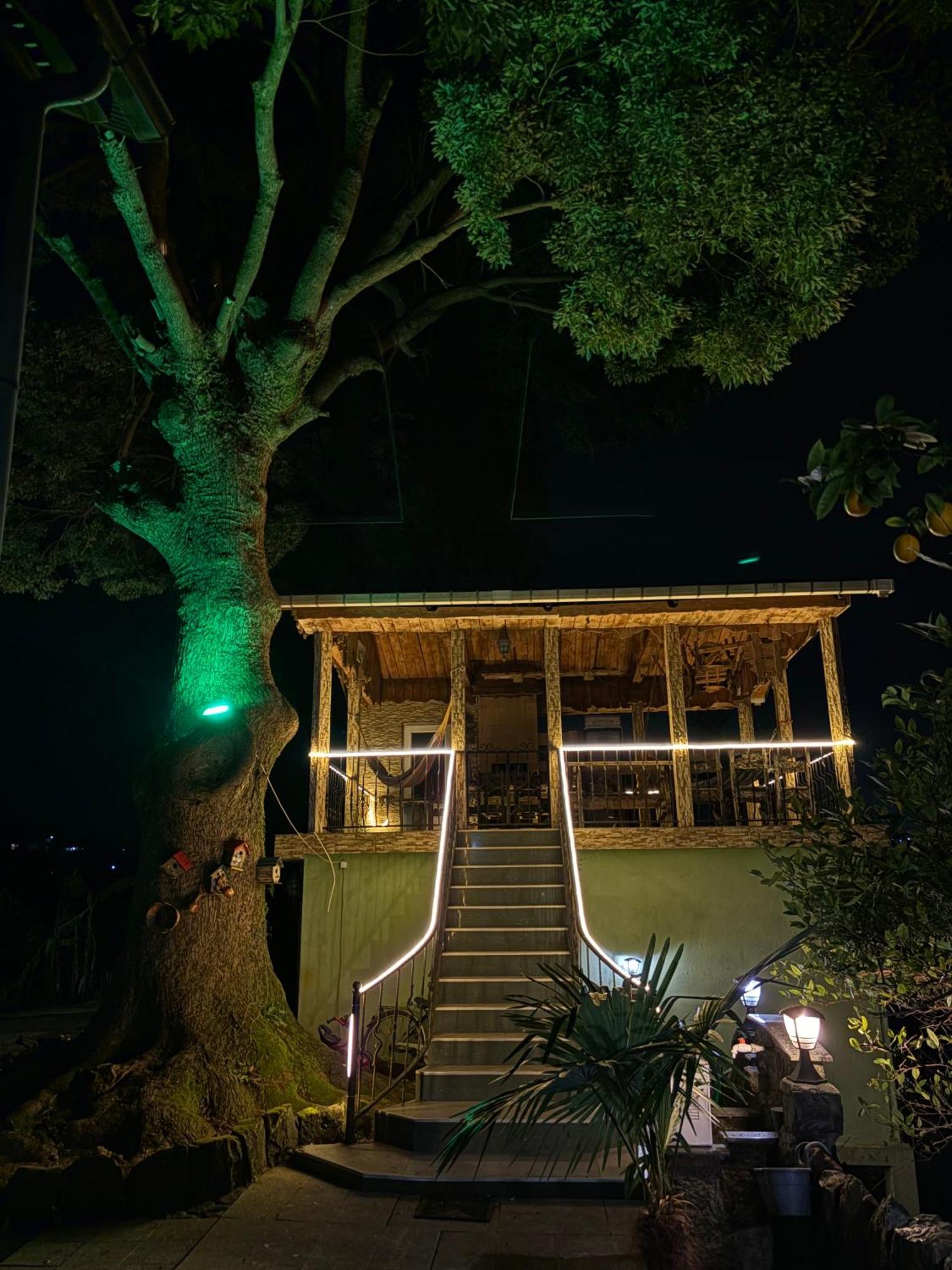 Apartment Green House Makhinjauri Exterior photo