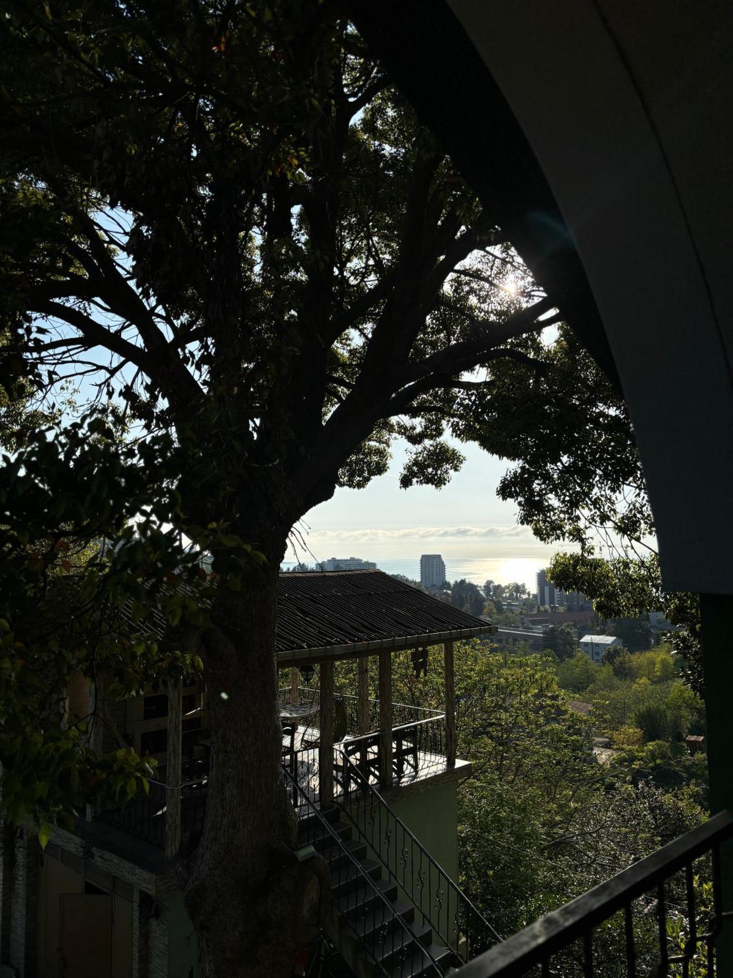 Apartment Green House Makhinjauri Exterior photo