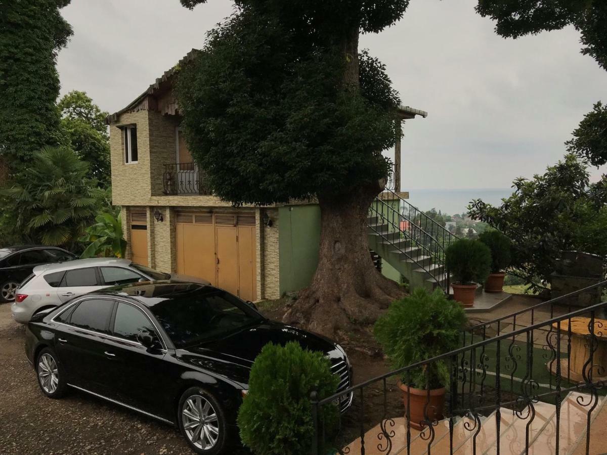 Apartment Green House Makhinjauri Exterior photo
